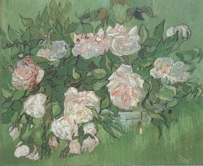 Vincent Van Gogh Still life:Pink Roses (nn04) oil painting picture